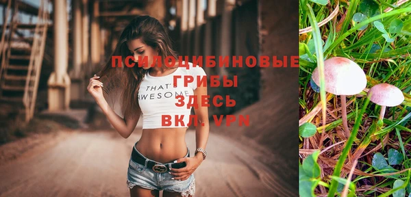 a pvp Краснослободск